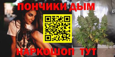 гидропоника Будённовск