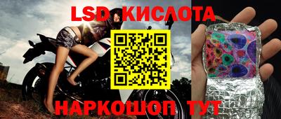 гидропоника Будённовск