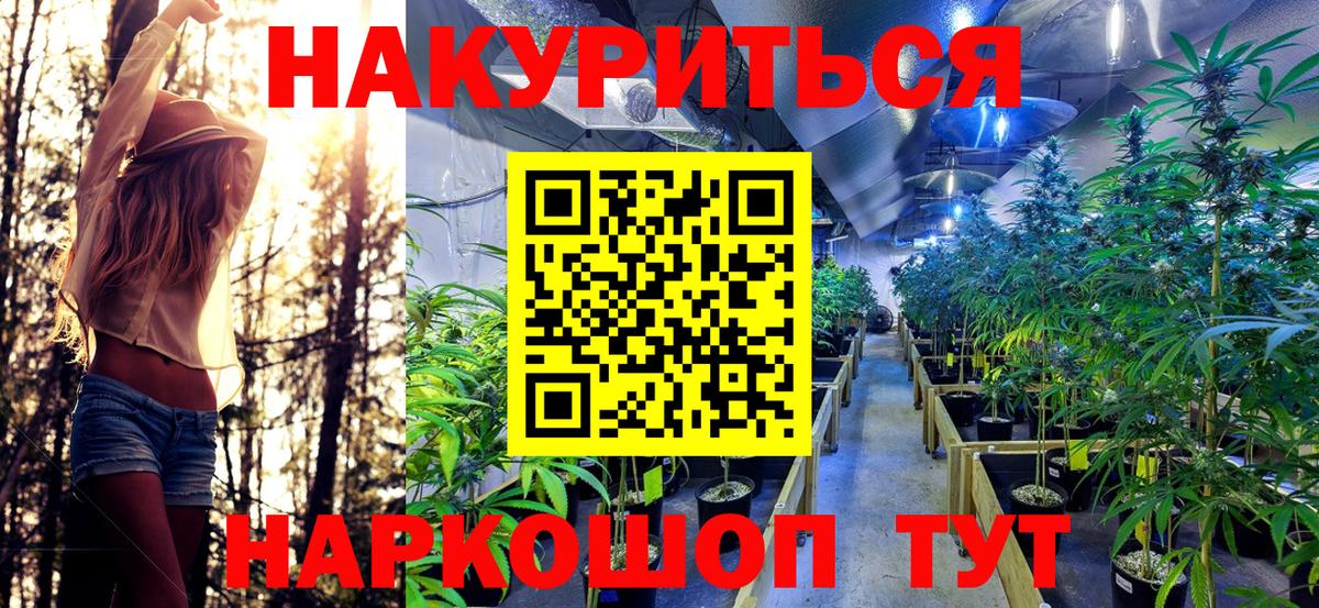 Каннабис семена Курск